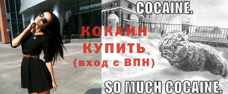 что такое   Красный Кут  мега ТОР  COCAIN FishScale 